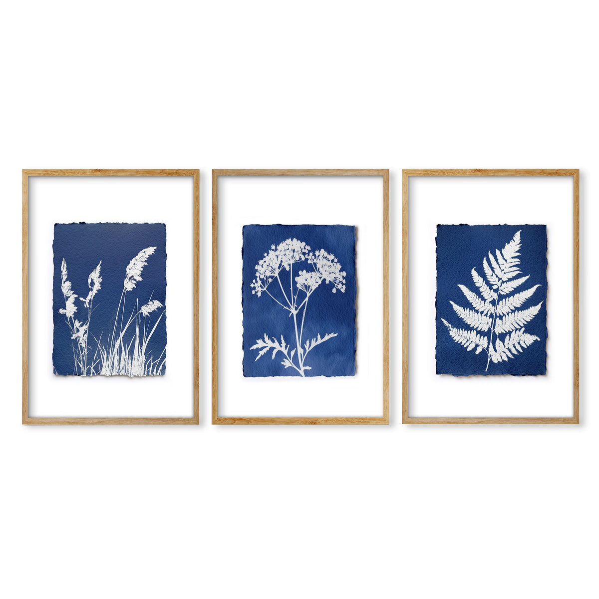 Blue Wall Art Botanical Cyanotype wall art | Indigo Grass, Wildflower & Fern in an oak frame
