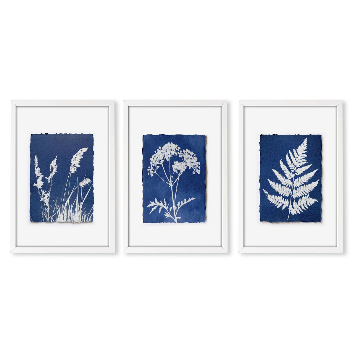 Blue Wall Art Botanical Cyanotype wall art | Indigo Grass, Wildflower & Fern in a white frame