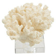 Boho Large White Coral