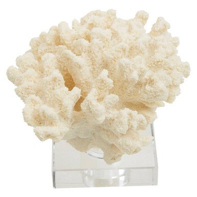 Boho Large White Coral