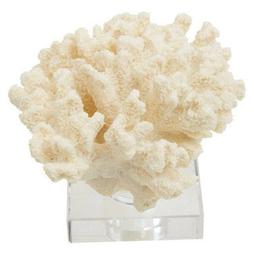 Boho Large White Coral