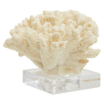 Boho Large White Coral