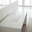 Bolla Large Round Clear Glass Vase