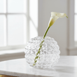 Bolla Small Round Clear Glass Vase