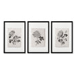 Botanical Artwork Neutral Chrysanthemum Ink-Style Floral wall art in a black frame