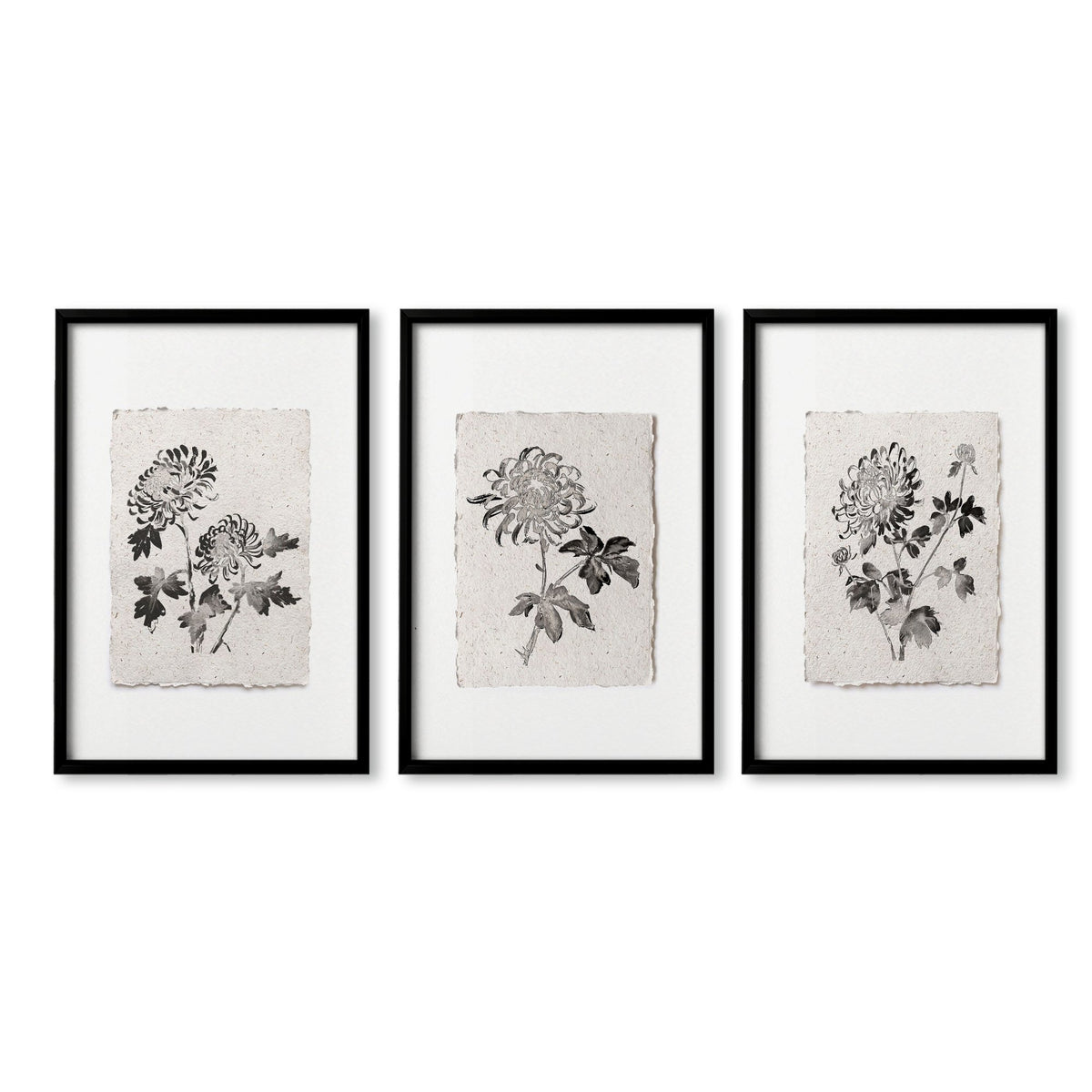 Botanical Artwork Neutral Chrysanthemum Ink-Style Floral wall art in a black frame