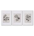 Botanical Artwork Neutral Chrysanthemum Ink-Style Floral wall art as a wrapped canvas