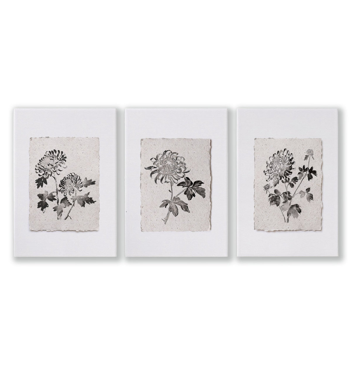 Botanical Artwork Neutral Chrysanthemum Ink-Style Floral wall art as a wrapped canvas
