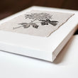 Botanical Artwork Neutral Chrysanthemum Ink-Style Floral wall art displayed on a wall in a styled room — view 3