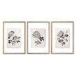 Botanical Artwork Neutral Chrysanthemum Ink-Style Floral Wall Art Prints | Set of 3