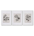 Botanical Artwork Neutral Chrysanthemum Ink-Style Floral Wall Art Prints | Set of 3