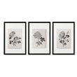 Botanical Artwork Neutral Chrysanthemum Ink-Style Floral Wall Art Prints | Set of 3
