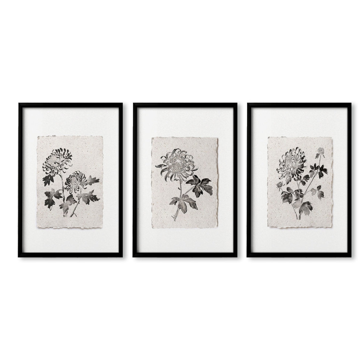 Botanical Artwork Neutral Chrysanthemum Ink-Style Floral Wall Art Prints | Set of 3