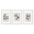 Botanical Artwork Neutral Chrysanthemum Ink-Style Floral Wall Art Prints | Set of 3