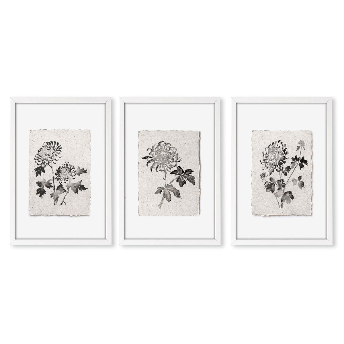 Botanical Artwork Neutral Chrysanthemum Ink-Style Floral Wall Art Prints | Set of 3