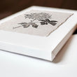 Botanical Artwork Neutral Chrysanthemum Ink-Style Floral Wall Art Prints | Set of 3