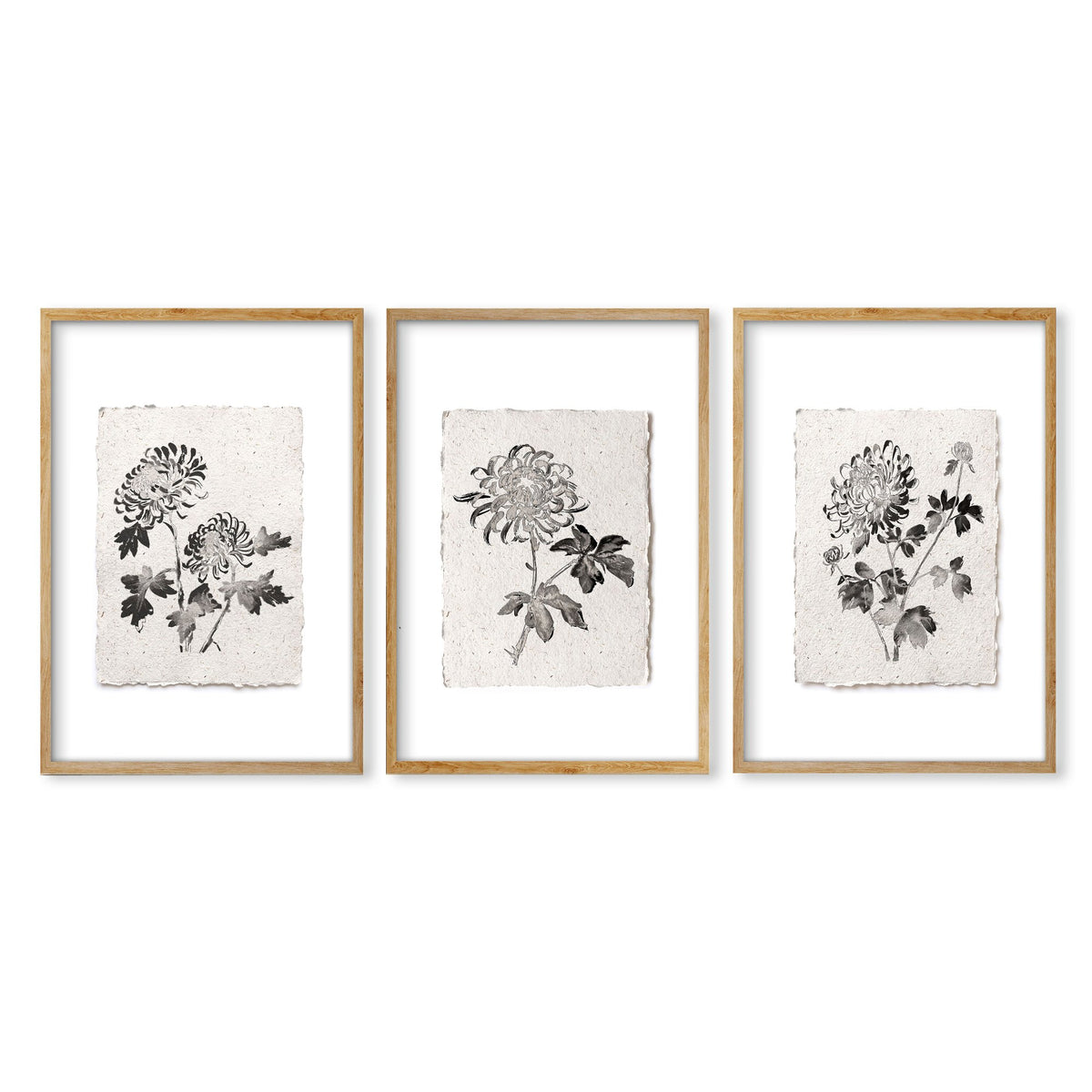 Botanical Artwork Neutral Chrysanthemum Ink-Style Floral wall art in an oak frame