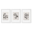 Botanical Artwork Neutral Chrysanthemum Ink-Style Floral wall art in a white frame