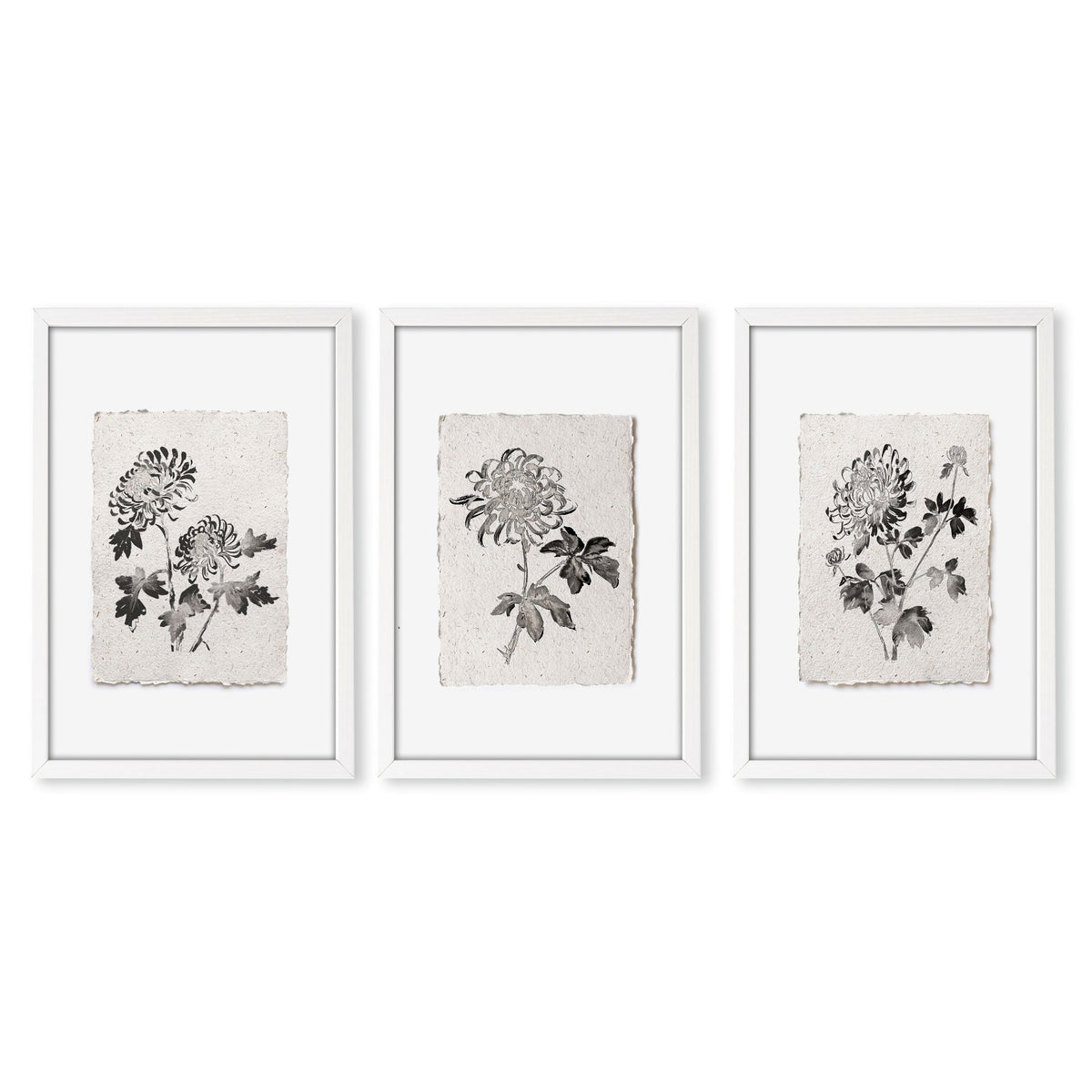 Botanical Artwork Neutral Chrysanthemum Ink-Style Floral wall art in a white frame