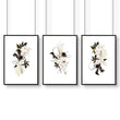 Botanical Bedroom Decor | Set of 3 wall art prints