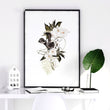 Botanical Bedroom Decor | Set of 3 wall art prints