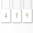 Botanical Framed Prints | Set of 3 wall art prints