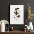 Botanical Print Set | Set of 3 wall art prints