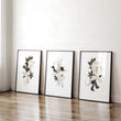 Botanical Print Set | Set of 3 wall art prints