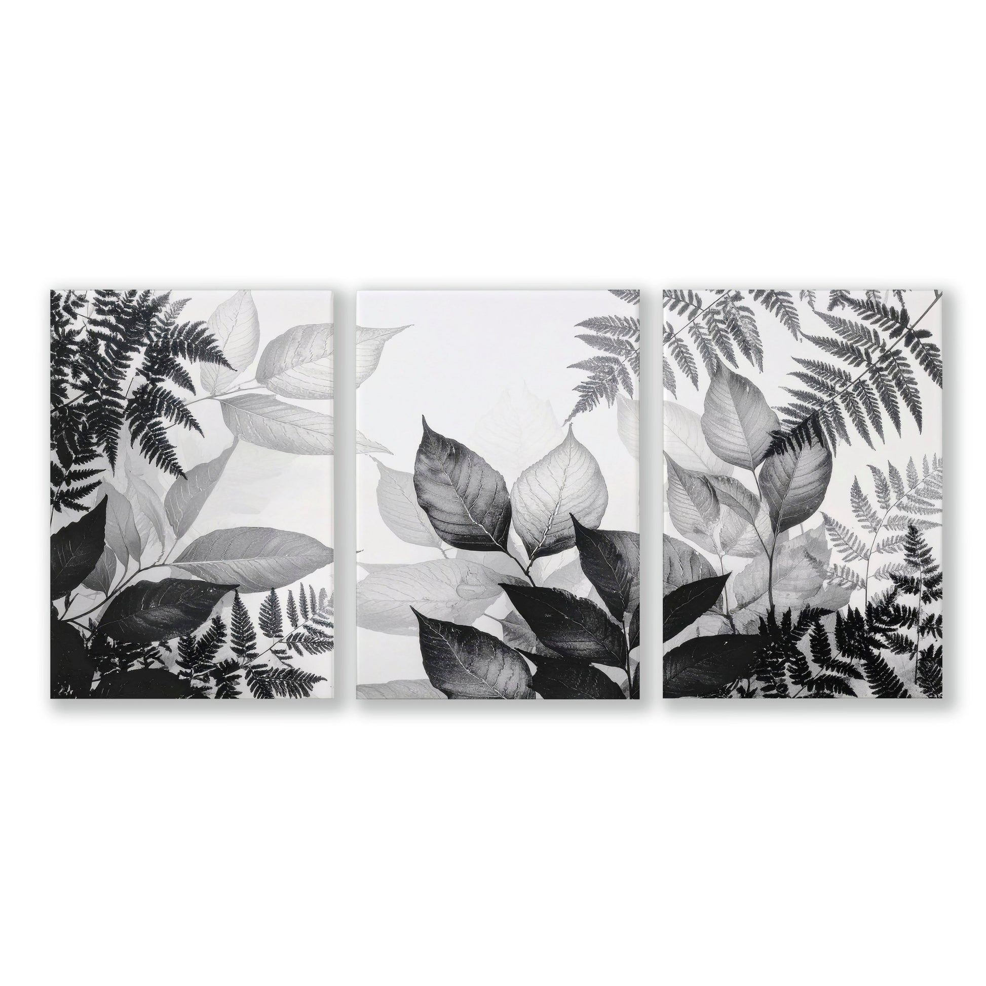 Botanical Wall Art | Set of 3 Botanical Wall art Prints