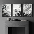 Botanical Wall Art | Set of 3 Botanical Wall art Prints