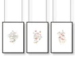 Botanicals Wal Art | Set of 3 wall art prints