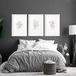 Botanicals Wal Art | Set of 3 wall art prints