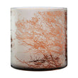 Branch Medium Glass Hurricane Candle Holder