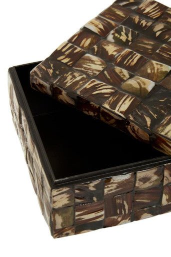 Branna Large Natural Shell Detail Box
