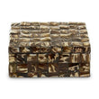 Branna Large Natural Shell Detail Box