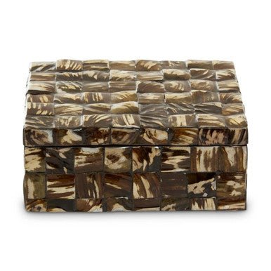 Branna Large Natural Shell Detail Box