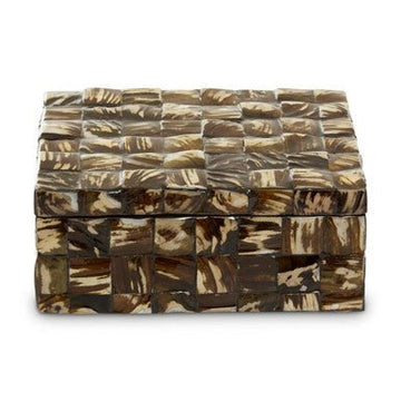 Branna Large Natural Shell Detail Box