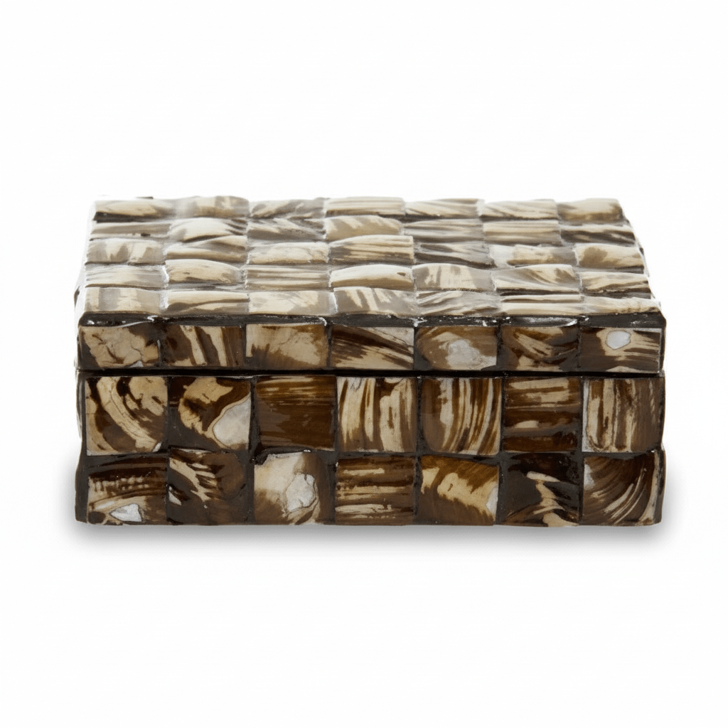 Branna Small Natural Shell Detail Box