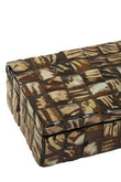 Branna Small Natural Shell Detail Box