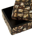 Branna Small Natural Shell Detail Box