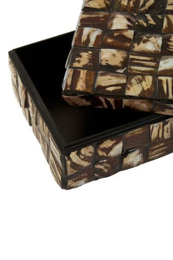 Branna Small Natural Shell Detail Box