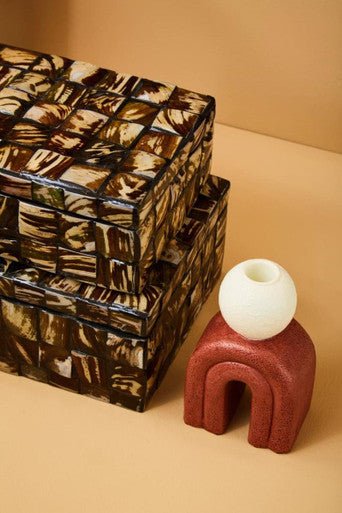 Branna Small Natural Shell Detail Box