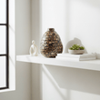Branna Small Shell Vase
