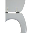 Brooks Matte Grey Toilet Seat