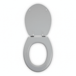 Brooks Matte Grey Toilet Seat