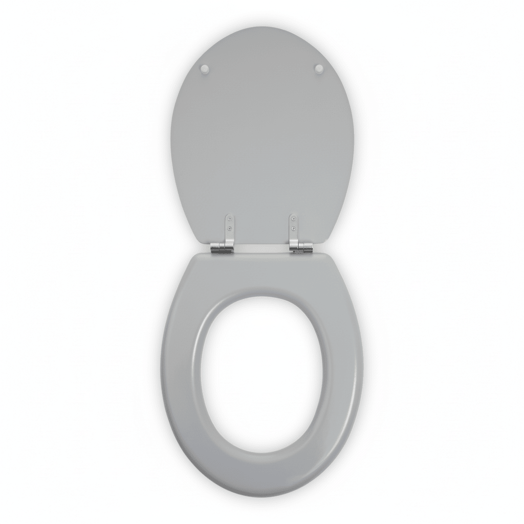 Brooks Matte Grey Toilet Seat