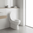 Brooks Matte White Toilet Seat