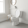 Brooks Matte White Toilet Seat