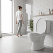 Brooks Matte White Toilet Seat