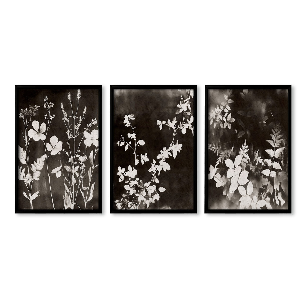 Brown Painting Botanical Wild Botanicals Dark Tonal wall art in a black frame